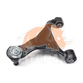 Přední horní rameno pravé