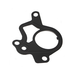 Těsnění vakuové pumpy