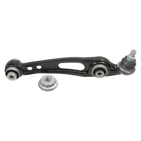 Přední spodní rameno, pravé zadní